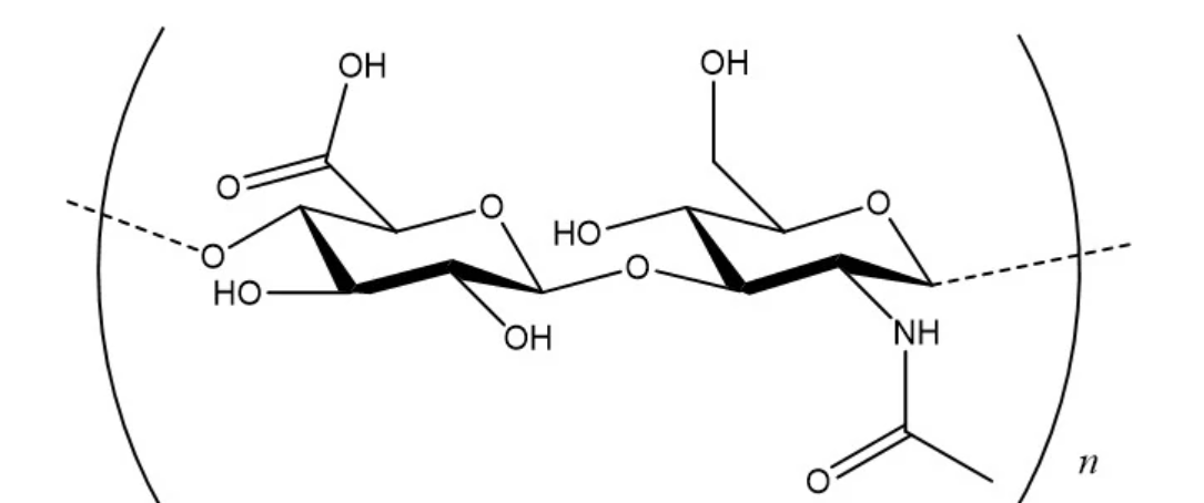 玻尿酸分子.png